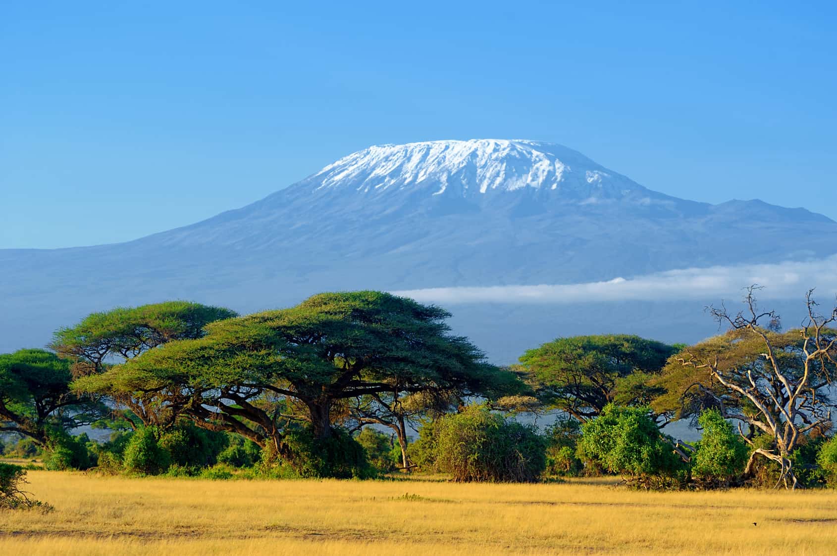 Ascension du Kilimandjaro & Safari